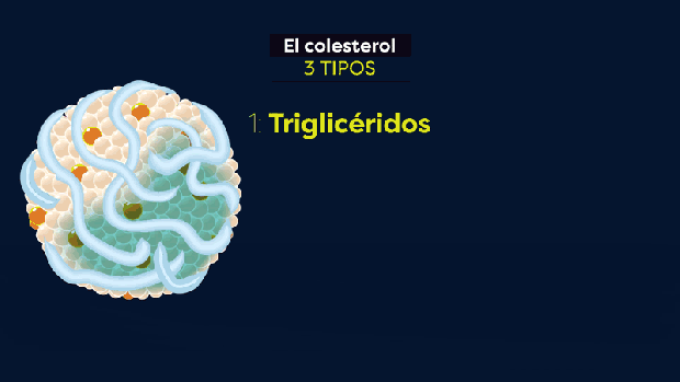 Trigliceridos